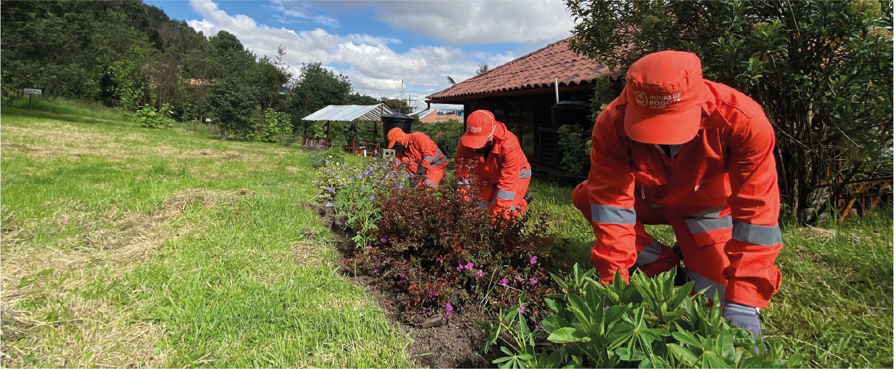 Operación PED Entrenubes