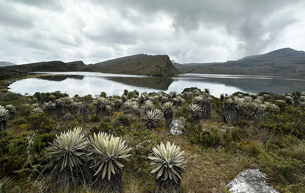 Paramo-de-Sumapaz-Laguna-de-Chisaca